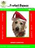 P wfect Balance FREE. Season s greetings. Cover Photo: Christmas time in Australia. Don t forget your furry friend. Presents
