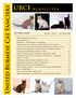 UBCF Newsletter. United Burmese Cat Fanciers. In This Issue Volume I, Issue 3 -- September 2008