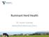 Ruminant Herd Health. Dr. Lauren Lyzenga Abbotsford Veterinary Clinic