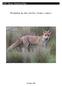 NSW Threat Abatement Plan. Predation by the red fox (Vulpes vulpes)