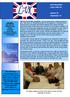 Club Newsletter LION LOPS UK. Edition 15 September 13. Jane Bramley