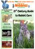 21 st Century Guide to Rabbit Care