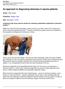 An approach to diagnosing lameness in equine patients