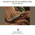 RECOVERY PLAN FOR THE BERMUDA SKINK, Eumeces longirostris