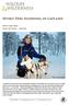 Husky Dog Sledding in Lapland