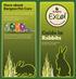 Guide to Rabbits Burgess Pet Care s guide to caring for your rabbit
