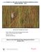 C-111 PROJECT & CAPE SABLE SEASIDE SPARROW SUBPOPULATION D ANNUAL REPORT 2014