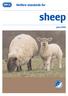 Welfare standards for. sheep. June February 2006 indicates an amendment. RSPCA Welfare standards for ducks 1