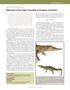 Behaviors in the Cuban Crocodile (Crocodylus rhombifer)