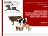 EUROPEAN LIVESTOCK AND MEAT TRADES UNION UECBV
