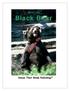 Meet the Black Bear. Sample file. Amuse Their Minds Publishing