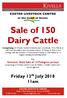 Sale of 150 Dairy Cattle