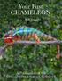 Your First CHAMELEON