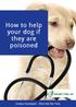 How to help your dog if they are poisoned
