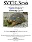 SVTTC News Silicon Valley Turtle & Tortoise Club