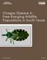 Institute of Renewable Natural Resources. Chagas Disease in Free-Ranging Wildlife Populations in South Texas