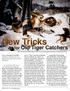 New Tricks. for Old Tiger Catchers. Terry J. Kreeger, DVM, PhD Supervisor, Veterinary Services Branch, Wyoming Game and Fish Department