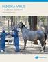 Hendra virus. a guide for veterinary professionals