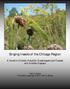 Singing Insects of the Chicago Region