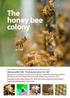 The honey bee colony. by C Roff