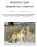 Mexican Wolf Recovery Program: Progress Report #18. Reporting Period: January 1 December 31, 2015