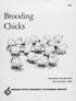^ VJ I ^ b 2H 50< ; Brooding Chicks >» \ Extension Circular 854 Revised June 1983 ORGGON STATG UNIVGRSITY GXTGNSION SGRVICG