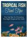 Tropical fish are among nature s most fantastic, hypnotizing creatures.