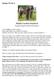 Shiloh Garden Standard Puppy Supply List & Information