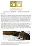 Amur Leopard & Tiger Project: Summary of Activities 2012