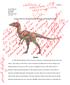 Eoraptor: Discovery, Fossil Information, Phylogeny, and Reconstructed Life