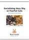 Socializing Very Shy or Fearful Cats. By Terri Gonzales and Sherry Woodard