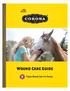 Wound Care Guide. Proper Wound Care For Horses