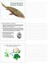 The Fossil Record of Vertebrate Transitions