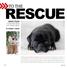 RESCUE TO THE JENNY FROH CATCHES PETS AT THEIR BEST BY ROBERT KIENER