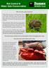Rat Control & Water Vole Conservation