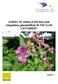 SURVEY OF HIMALAYAN BALSAM (Impatiens glandulifera) IN THE CLUN CATCHMENT