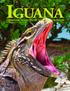 IGUANA VOLUME 15, NUMBER 1 MARCH International Reptile Conservation Foundation