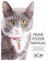 FELINE FOSTER MANUAL. Thank you very much for your commitment to giving felines a second chance. We could not do it without you!