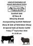Scottish Sale Of Rare & Minority Breeds Incorporating Scottish National Show & Sale of Hebridean Sheep & Special Sale of Dexter Cattle