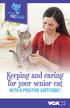 Keeping and caring for your senior cat WITH A POSITIVE CATTITUDE!