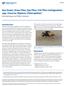 Eye Gnats, Grass Flies, Eye Flies, Frit Flies Liohippelates spp. (Insecta: Diptera: Chloropidae) 1