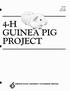 4'H GUINEA PIG PROJECT