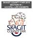 SKAGIT COUNTY FAIR 2016 SECTION HI 4-H STILL LIFE EXHIBITS