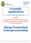 Example Application. Sheep Production Entrepreneurship