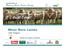 AN INITIATIVE OF. Wean More Lambs. Colin Trengove. Member SA Livestock Consultants EVENT PARTNERS: EVENT SUPPORTERS: