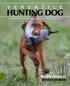 HUNTING DOG PUPPYHOOD AND BIRD EXPOSURE. A Publication of The North American Versatile Hunting Dog Association Volume XLVIII No.