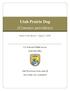 Utah Prairie Dog (Cynomys parvidens)