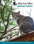ADVOCACY TOOLKIT HOW TO ADVOCATE FOR HUMANE POLICIES FOR CATS IN YOUR COMMUNITY