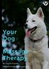 Your Dog & Massage Therapy