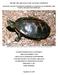 BEFORE THE ARKANSAS GAME AND FISH COMMISSION PETITION TO END UNLIMITED COMMERCIAL HARVEST OF 14 FRESHWATER TURTLE SPECIES OR SUBSPECIES